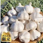 青森にんにく 農家直送 中小玉 500g