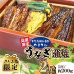 鹿児島県産うなぎ蒲焼 各約200g×2尾