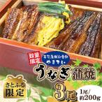 鹿児島県産うなぎ蒲焼 約200g×3尾