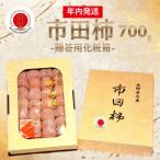 南信州産GI登録商品 約700g