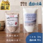 うめ塩と 逢母の天塩の天然塩セット
