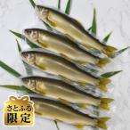 岩手岩泉小本川育ちの天然あゆ 600g