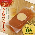 便利なパウチ りんごジュース 1 000ml