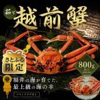 越前がに 800g×1杯