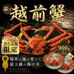 越前がに 900g×1杯