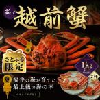 越前がに 1kg×1杯