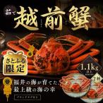 越前がに 茹で 1.1kg以上