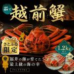 越前がに 茹で 1.2kg以上