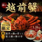 越前がに 茹で 1.3kg以上