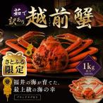 越前がに 茹で 1kg以上