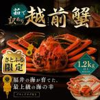 越前がに 茹で 1.2kg以上