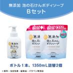 無添加 泡の石けんボディソープセットB