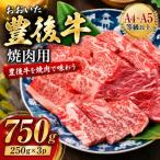 おおいた豊後牛焼肉用 750g