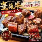 おおいた和牛ヒレステーキ 150g×5枚