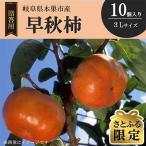 早秋柿 3Lサイズ 10個入り
