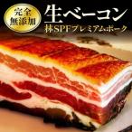 完全無添加 銘柄豚 林SPF 極上豚バラ 200g×2本