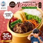 生ハンバーグミニ 35個セット 5個×7パック