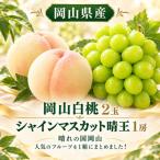 岡山白桃2玉 シャインマスカット晴王1房