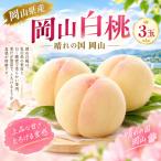 岡山白桃3玉 約750g