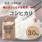 令和8年産 コシヒカリ 玄米 30kg