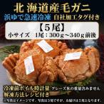 fu.... налог белый . блок k1205[... наша компания с биркой ] Hokkaido производство Boyle четырёхугольный волосатый краб 300g~340g передний и задний (до и после) ×5 хвост 