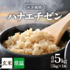 エコ栽培コシヒカリ 玄米5kg