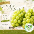 シャインマスカット2房 計800g