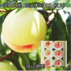 岡山白桃6玉 1玉300g以上