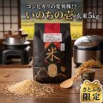 新米 令和8年産 ひのひかり ヒノヒカリ 5kg