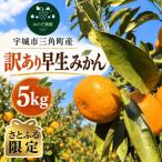 訳あり 早生みかん 5kg