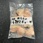 オラホの手羽先餃子 訳あり 500g×1パック