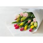 チューリップ花束 20本