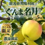 先行受付 産ぐんま名月5kg