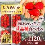 先行受付 訳あり 旬のいちご4品種食べ比べ