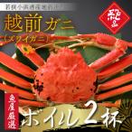 越前ガニ ボイル 2杯