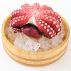 fu.... налог север Ibaraki город колокольчик . магазин. ..3.6~3.9kg