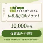 ふるさと納税 みやき町 佐賀県みやき町 お礼品交換チケット 10,000円分_SS997