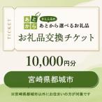 ふるさと納税 都城市 宮崎県都城市 お礼品交換チケット 10,000円分