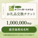 お礼品交換チケット 1 000 000円分