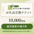 ショッピングチケット ふるさと納税 中種子町 鹿児島県中種子町　お礼品交換チケット　10,000円分