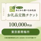 お礼品交換チケット 100 000円分