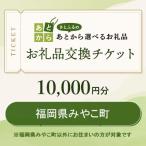 お礼品交換チケット 10 000円分