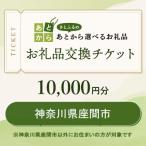 お礼品交換チケット 10 000円分