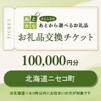 お礼品交換チケット 100 000円分