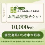 お礼品交換チケット 10,000円分