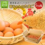 fu.... налог Minamikyushu город . Chan. Tama .5kg коробка 