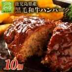 ショッピングふるさと納税 肉 ふるさと納税 南九州市 鹿児島県産黒毛和牛ハンバーグ10個 合計 1.5kg