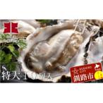 ふるさと納税 釧路市 生牡蠣10個入(釧路管内産特大サイズ120g〜150g) 【10月以降出荷】F4F-0057