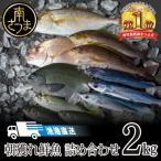 ふるさと納税 南さつま市 【漁港直送】朝獲れ鮮魚 詰め合わせ 2kg