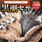 ふるさと納税 室戸市 黒潮セット(室